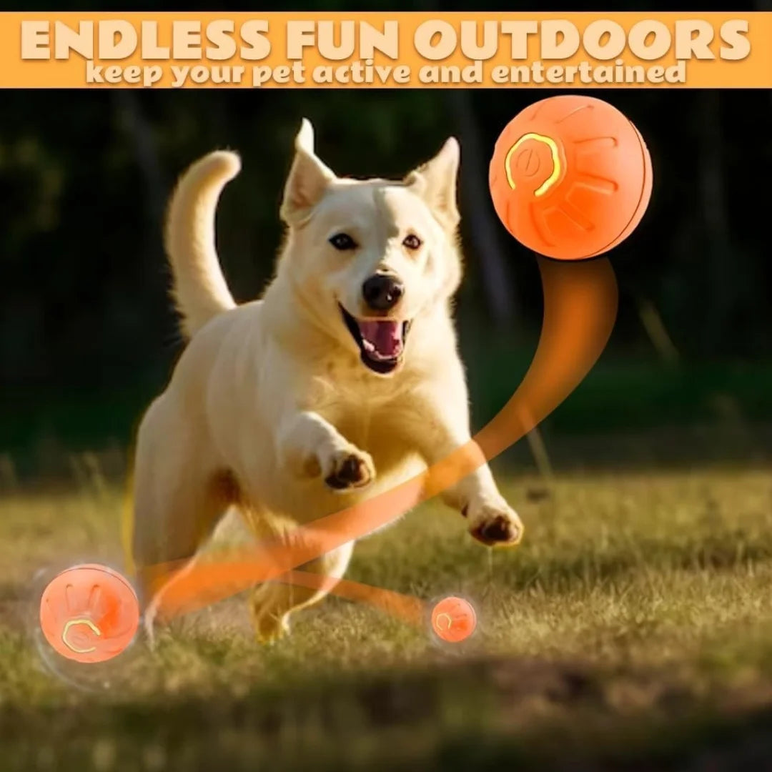 Jouet pour animaux à gravité, balle électrique intelligente à rebonds pour chiens et chats