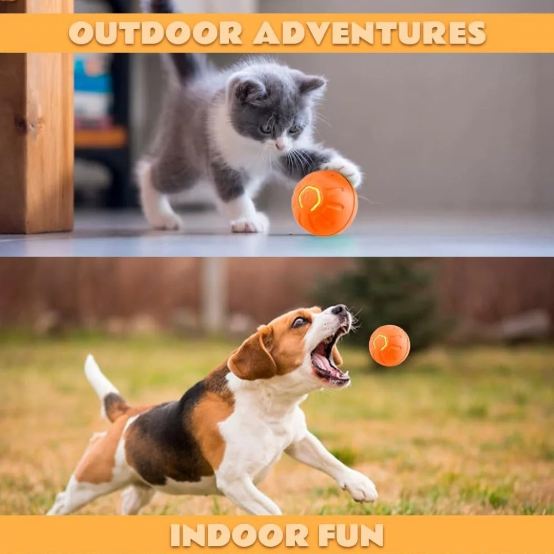 Jouet pour animaux à gravité, balle électrique intelligente à rebonds pour chiens et chats