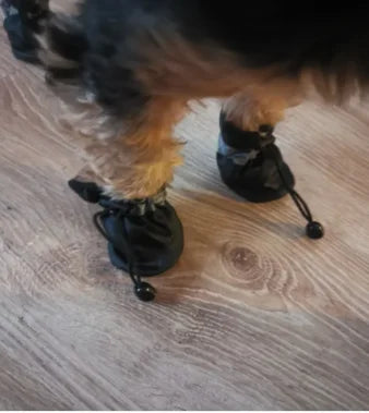 Lot de 4 chaussures imperméables pour chien : bottines de pluie antidérapantes pour petits chiens, chiots et chats, accessoires pour pattes d'animaux